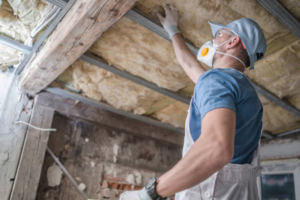 Best Insulation Repair Services  in West Columbia, TX