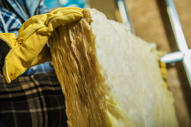 Best Attic Insulation Installation  in West Columbia, TX