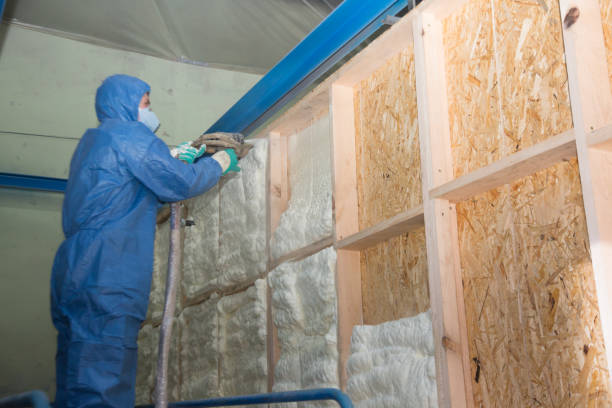 Best Spray Foam Insulation  in West Columbia, TX
