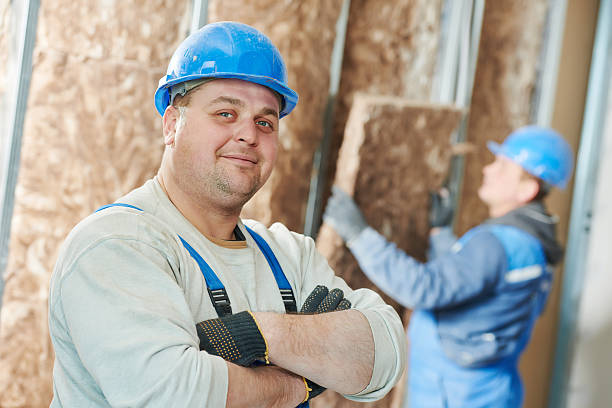 Best Professional Insulation Contractor  in West Columbia, TX