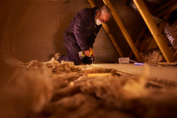 Best Blown-in Insulation  in West Columbia, TX